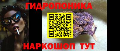 СК Кандалакша